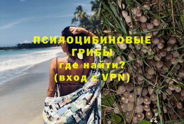 героин Алзамай