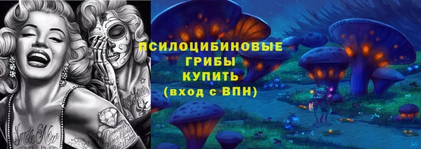 спайс Алексин
