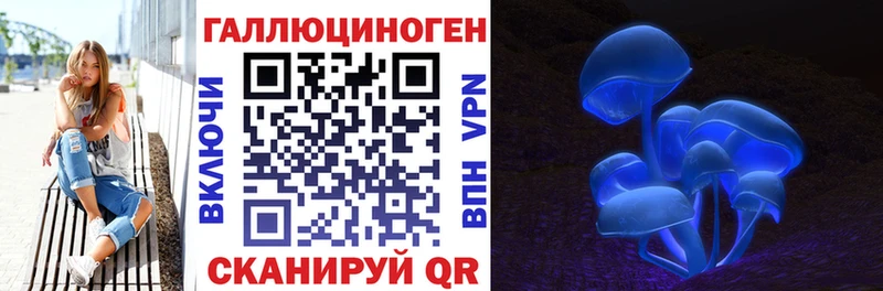 Галлюциногенные грибы Cubensis Аша